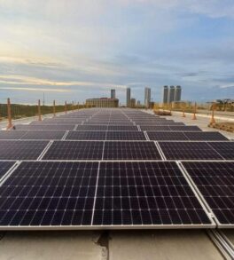 WhatsApp Image 2023-02-08 at 1.49.11 PM (1) WhatsApp Image 2023-02-08 at 1.49.11 PM (1)